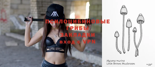 индика Нягань
