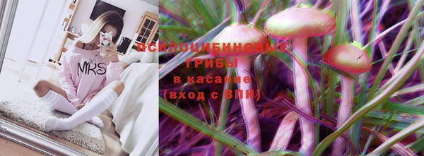 сатива Алексин