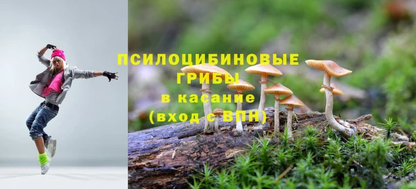 сатива Алексин