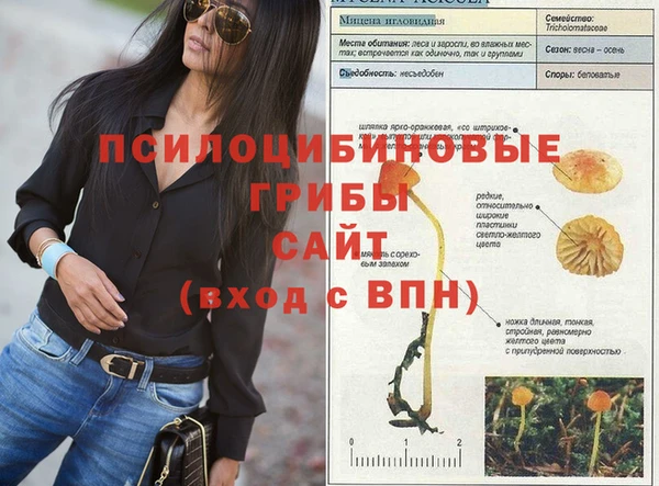 сатива Алексин