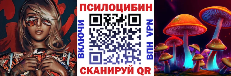 Галлюциногенные грибы Cubensis  Череповец 