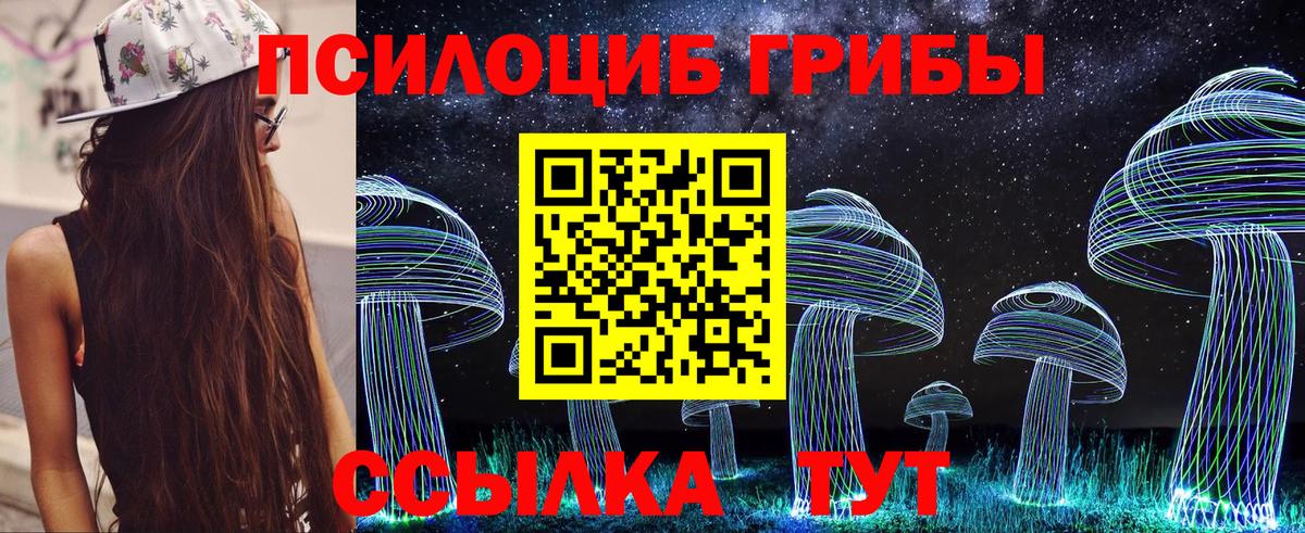 Череповец  Галлюциногенные грибы Psilocybine cubensis  Вход с VPN 