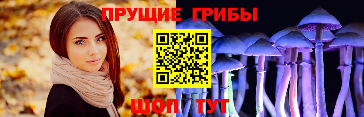 Галлюциногенные грибы GOLDEN TEACHER Череповец